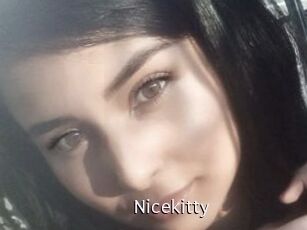 Nicekitty