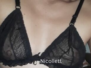 Nicollett