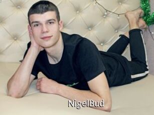 NigelBud