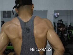 NiiccolASS
