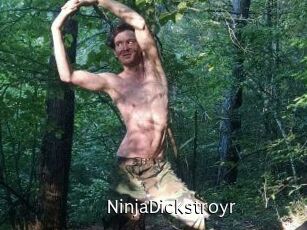 NinjaDickstroyr