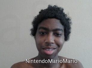 NintendoMarioMario