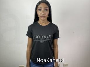 NoaKane18