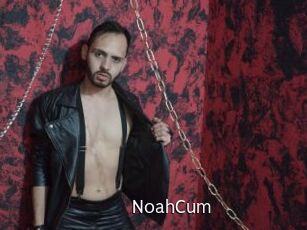 NoahCum