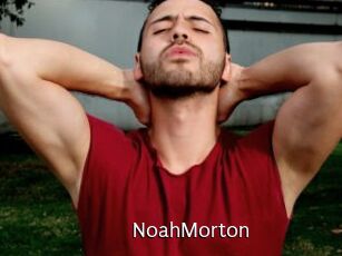 NoahMorton