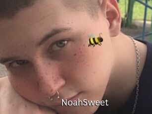 NoahSweet