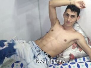 Noah_Bunny