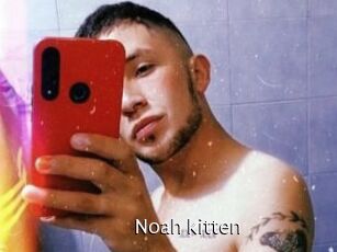 Noah_kitten