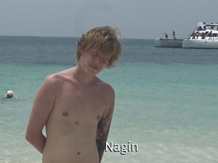Nagin