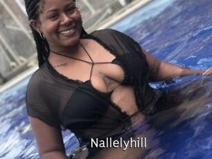 Nallelyhill