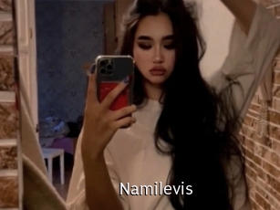 Namilevis