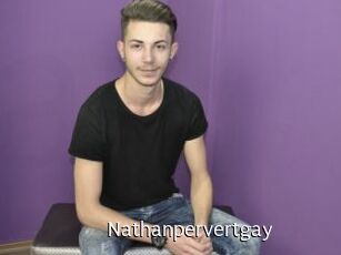 Nathanpervertgay