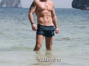 Nattenino