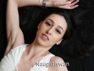 Naughtiswan