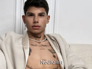Nedfollin