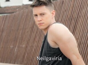 Neilgaviria