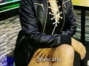 Nicecattx