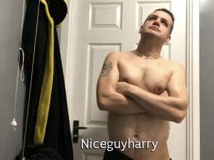 Niceguyharry