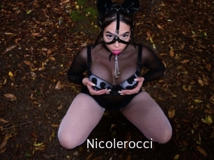 nicolerocci Anal Fist