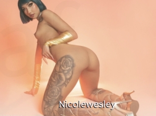 nicolewesley Anal Fist