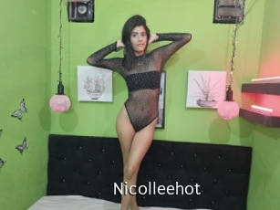 nicolleehot Anal Fist