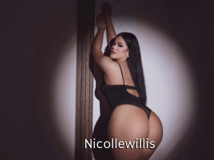 nicollewillis Anal Fist