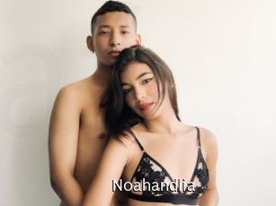 Noahandlia