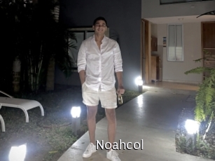 noahcol Anal Fist