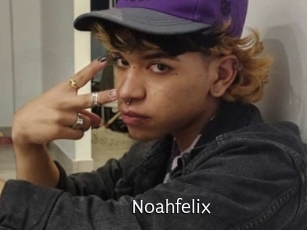 noahfelix Anal Fist