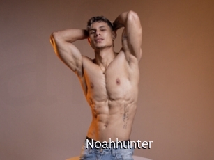 noahhunter Anal Fist
