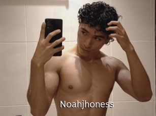 noahjhoness Anal Fist