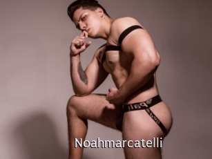 noahmarcatelli Anal Fist
