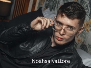 Noahsalvattore