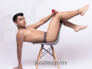 Noahsantoss