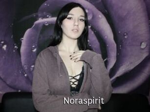 Noraspirit