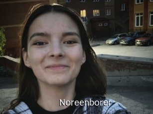 Noreenborer