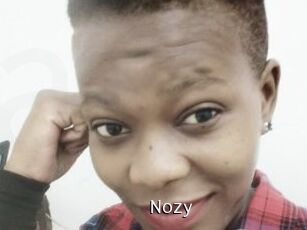 Nozy