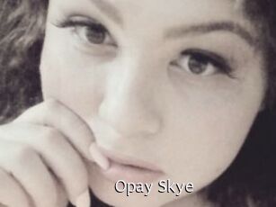 Opay_Skye