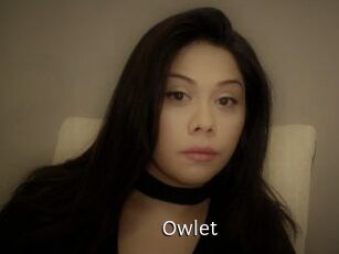 _Owlet_