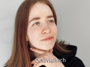 Octaviafinch