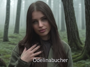 Odelinabucher