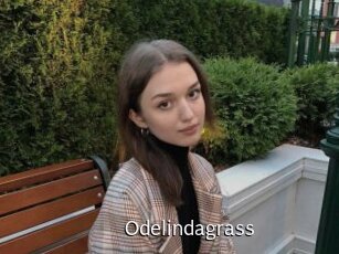 Odelindagrass