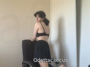 Odettacaecus