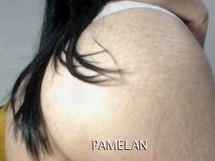 PAMELA_N