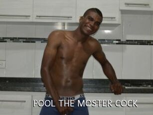 POOL_THE_MOSTER_COCK
