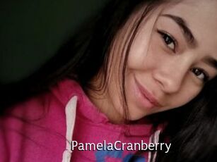 PamelaCranberry Anal Fist
