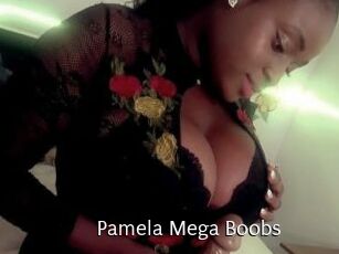 Pamela_Mega_Boobs