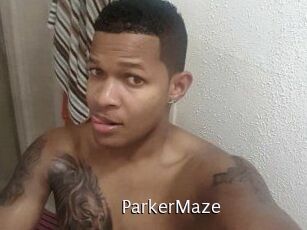 Parker_Maze