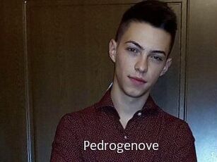 Pedrogenove