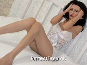 PerfectDreamN